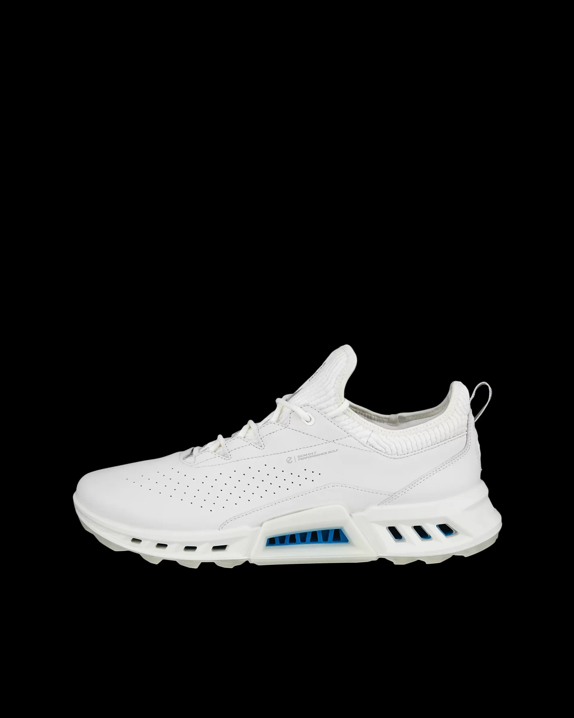 ECCO Gore-Tex | Golf* M GOLF BIOM C4